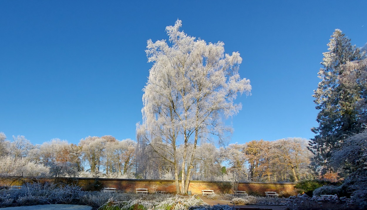 Hier erscheint bald ein Bild...