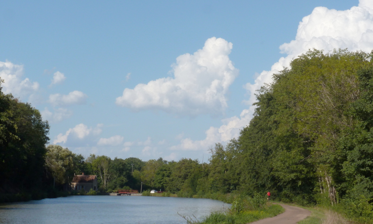 Hier erscheint bald ein Bild...