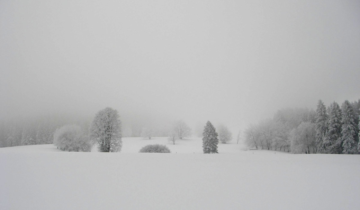 Hier erscheint bald ein Bild...