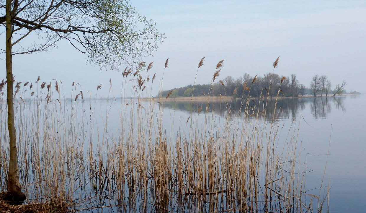 Hier erscheint bald ein Bild...