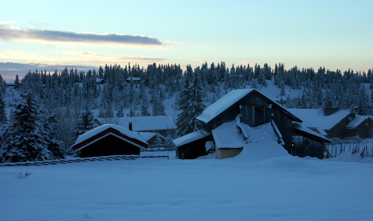 Hier erscheint bald ein Bild...