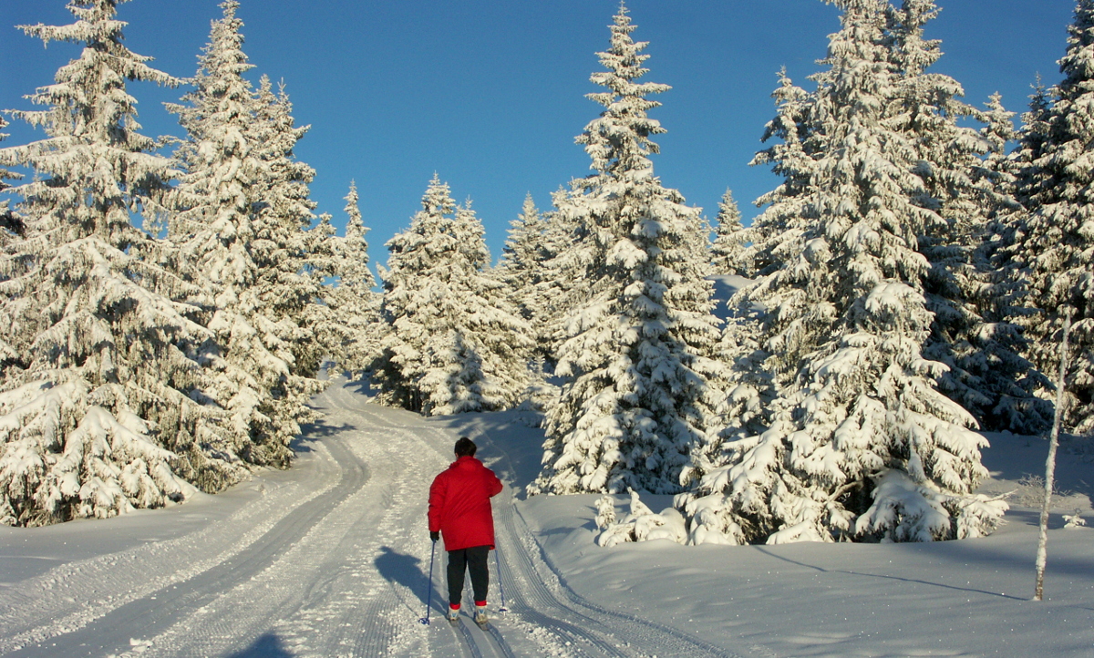 Hier erscheint bald ein Bild...