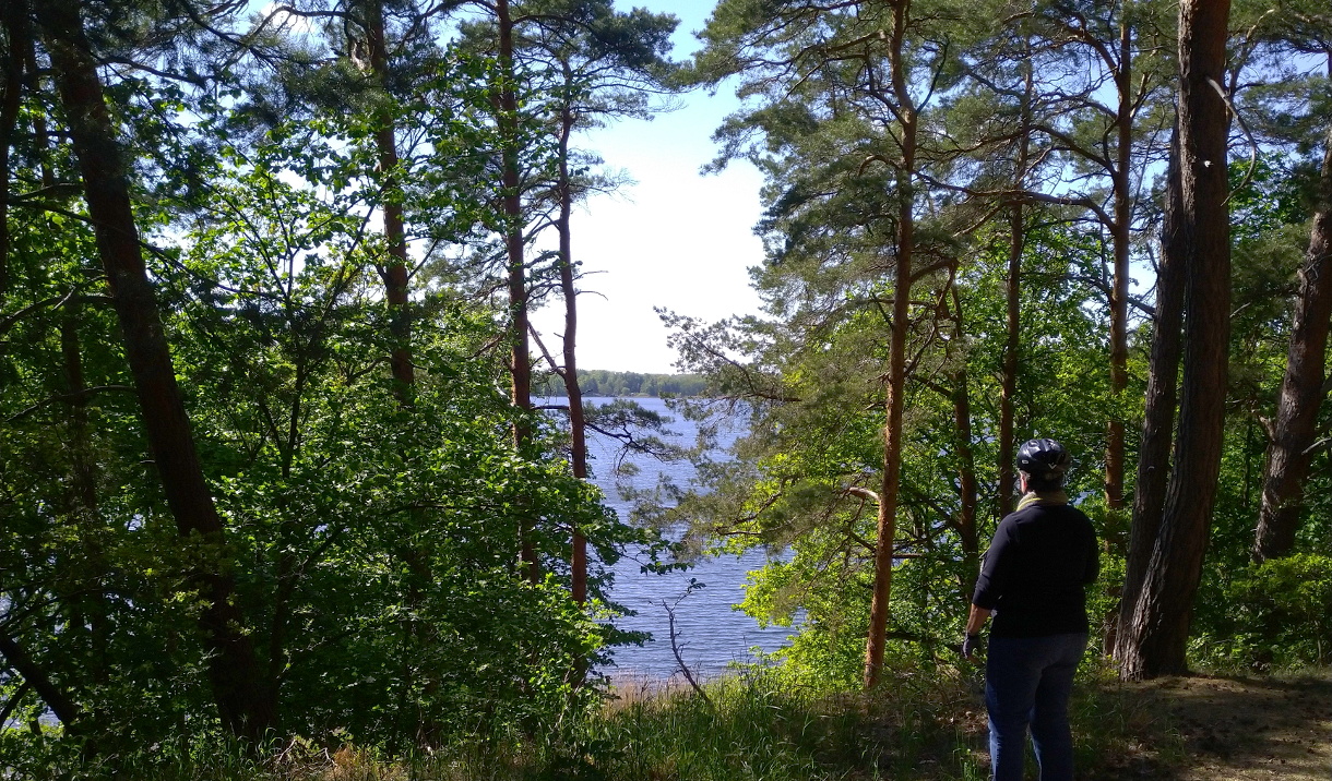 Hier erscheint bald ein Bild...