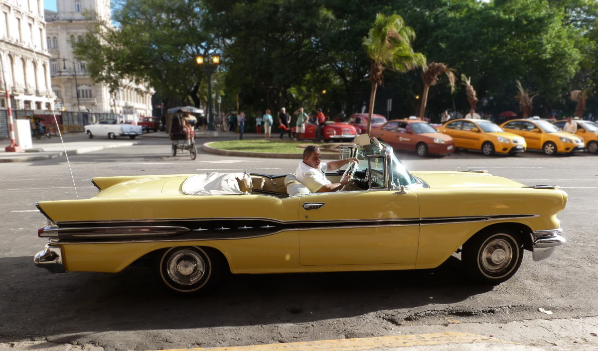 Hier erscheint bald ein Bild...