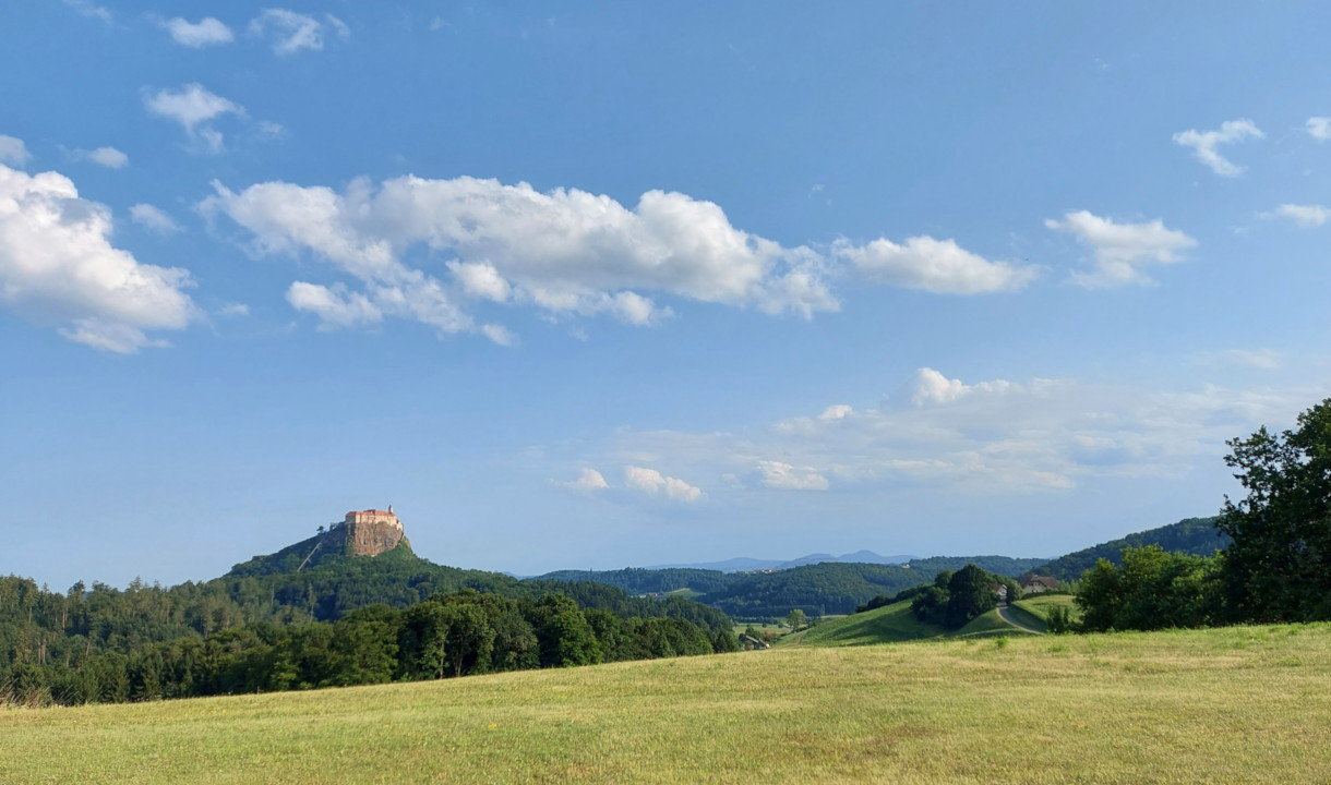 Hier erscheint bald ein Bild...