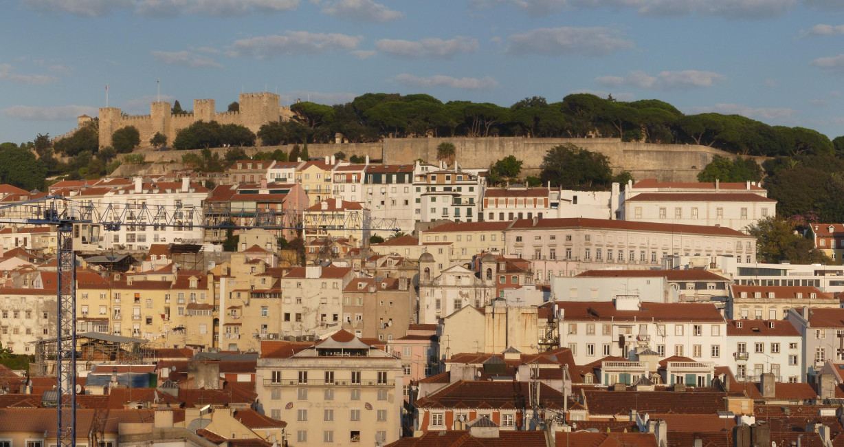 Hier erscheint bald ein Bild...