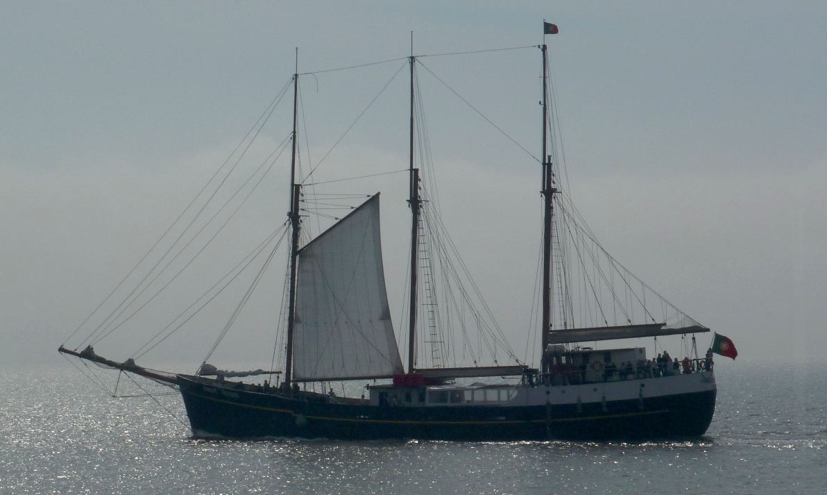 Hier erscheint bald ein Bild...