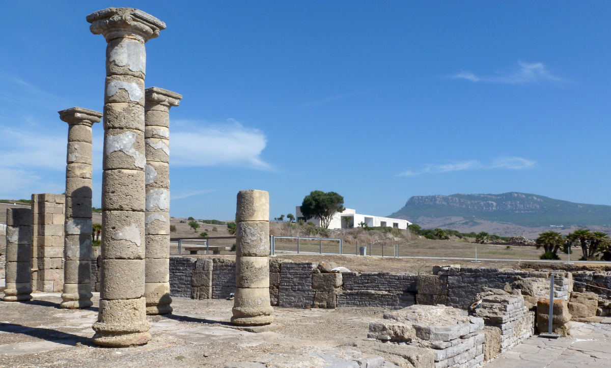 Hier erscheint bald ein Bild...