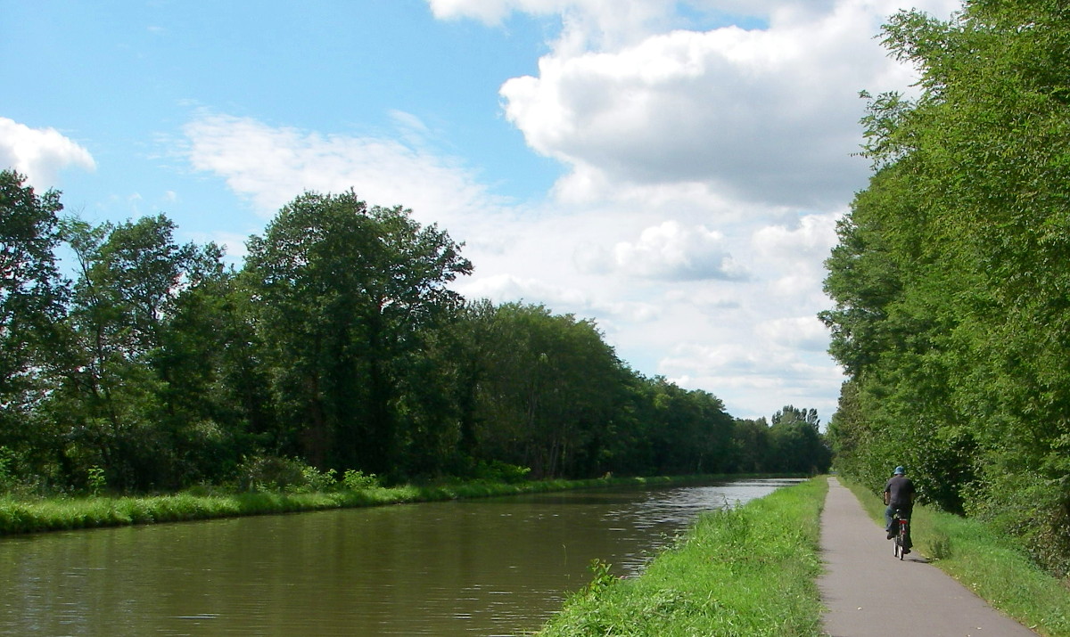 Hier erscheint bald ein Bild...