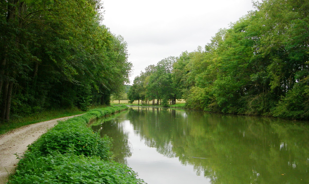 Hier erscheint bald ein Bild...