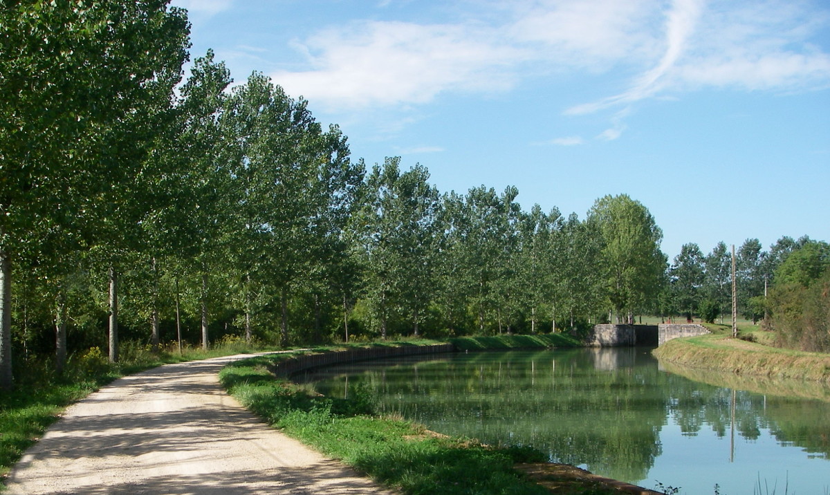 Hier erscheint bald ein Bild...