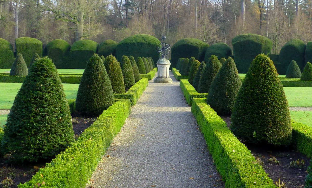 Hier erscheint bald ein Bild...