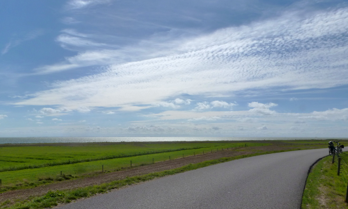 Hier erscheint bald ein Bild...