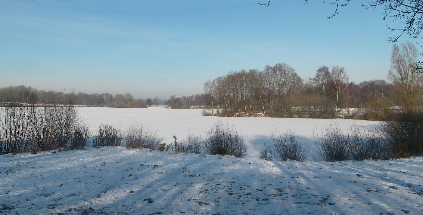 Hier erscheint bald ein Bild...