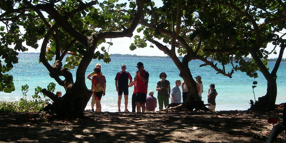 Hier erscheint bald ein Bild...