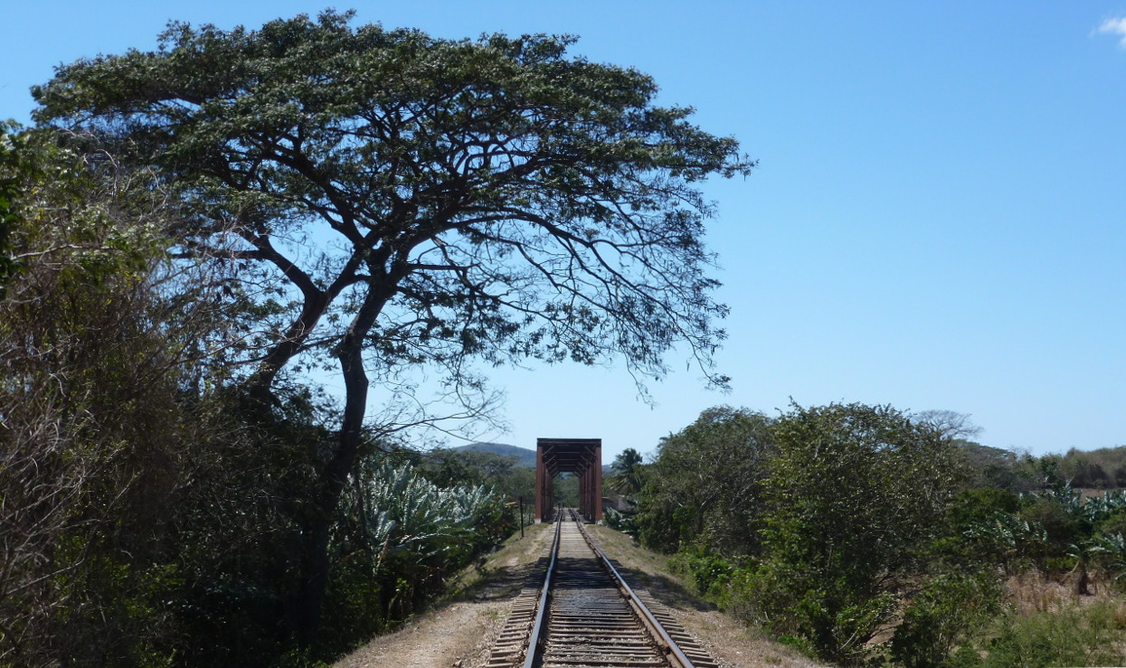 Hier erscheint bald ein Bild...