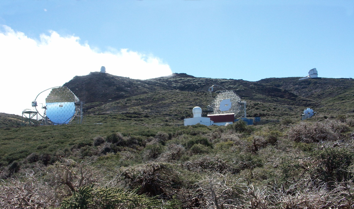 Hier erscheint bald ein Bild...