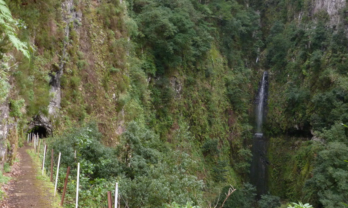 Hier erscheint bald ein Bild...