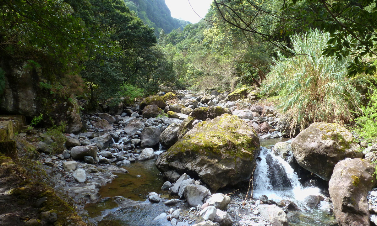 Hier erscheint bald ein Bild...