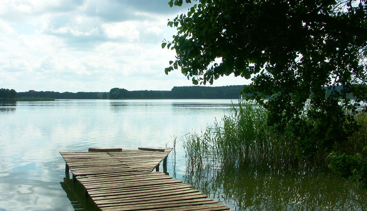 Hier erscheint bald ein Bild...
