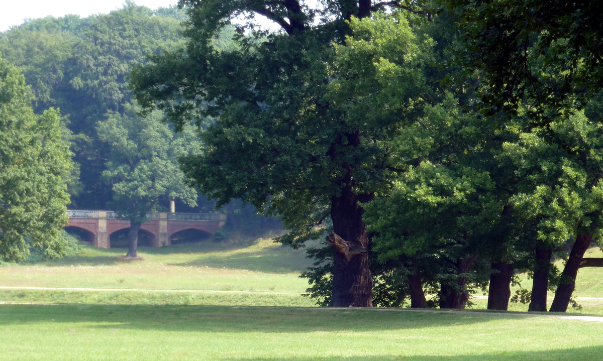 Hier erscheint bald ein Bild...