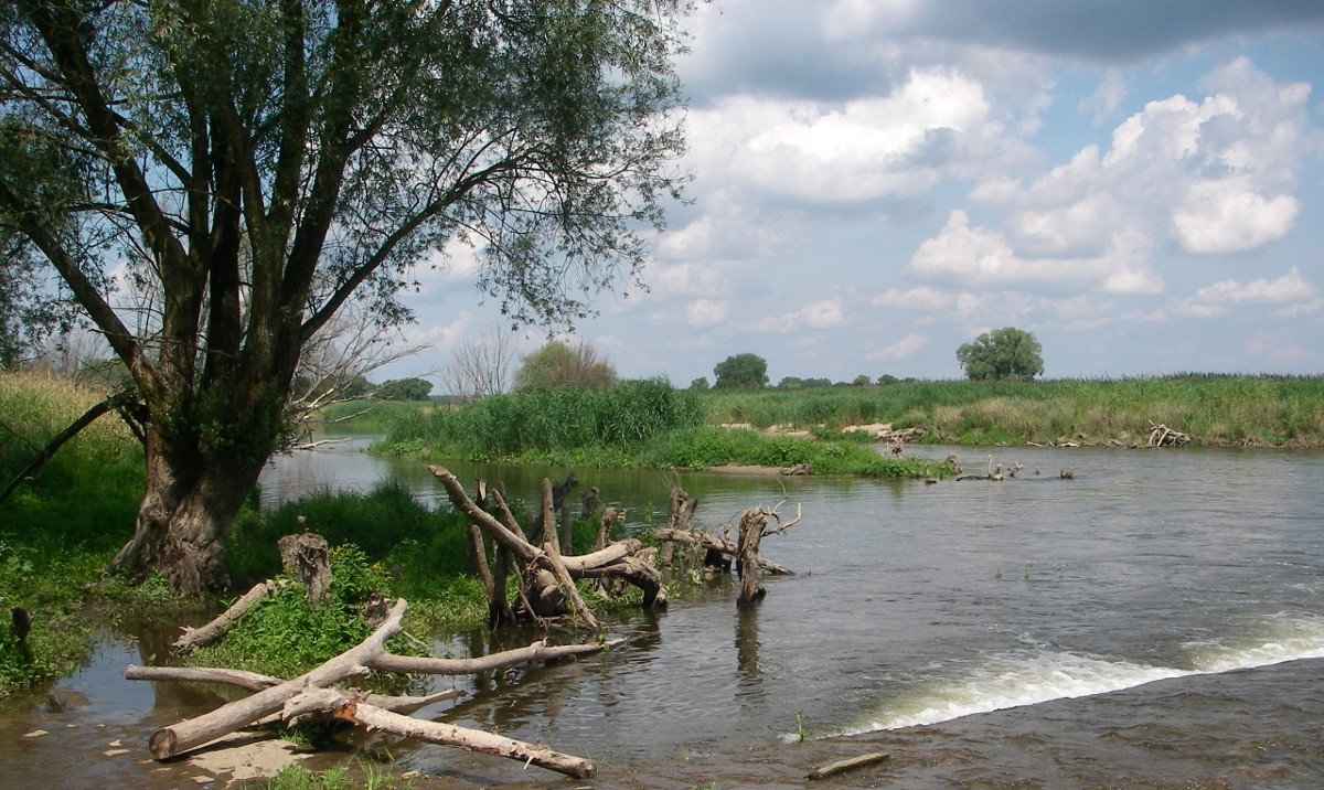 Hier erscheint bald ein Bild...