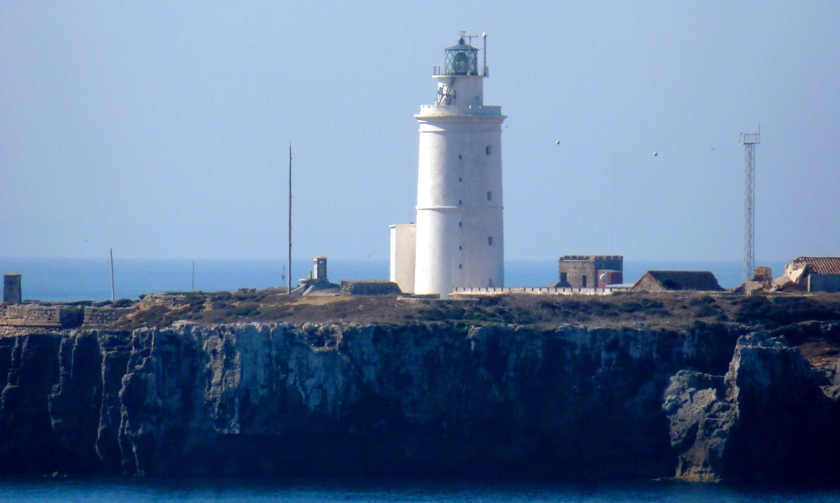 Hier erscheint bald ein Bild...