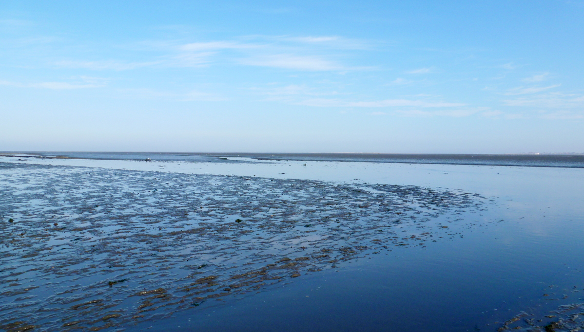 Hier erscheint bald ein Bild...