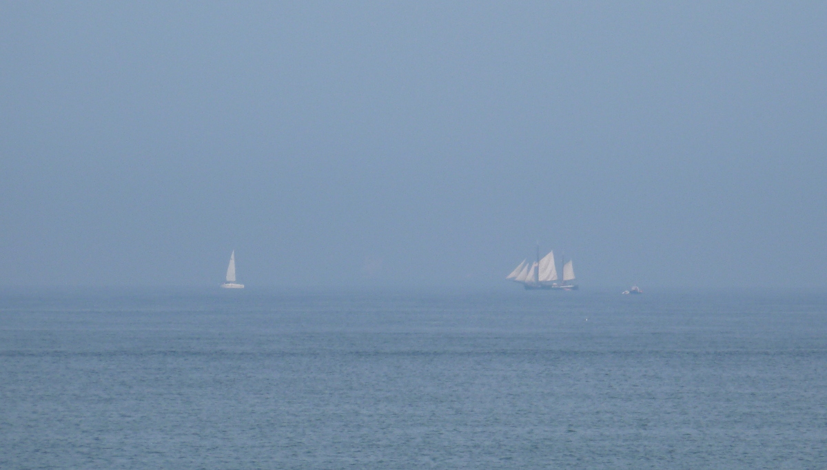 Hier erscheint bald ein Bild...